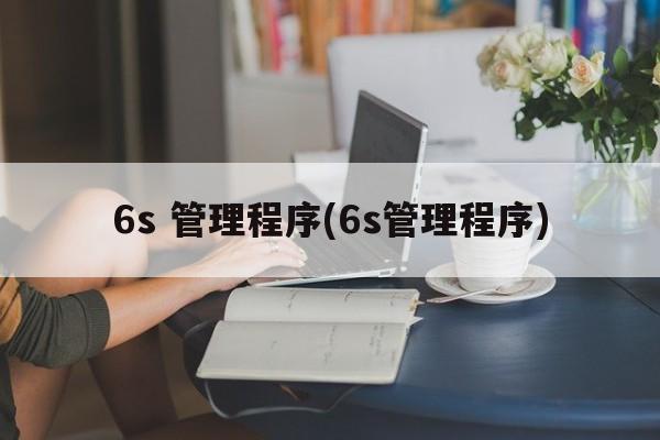 6s 管理程序(6s管理程序)